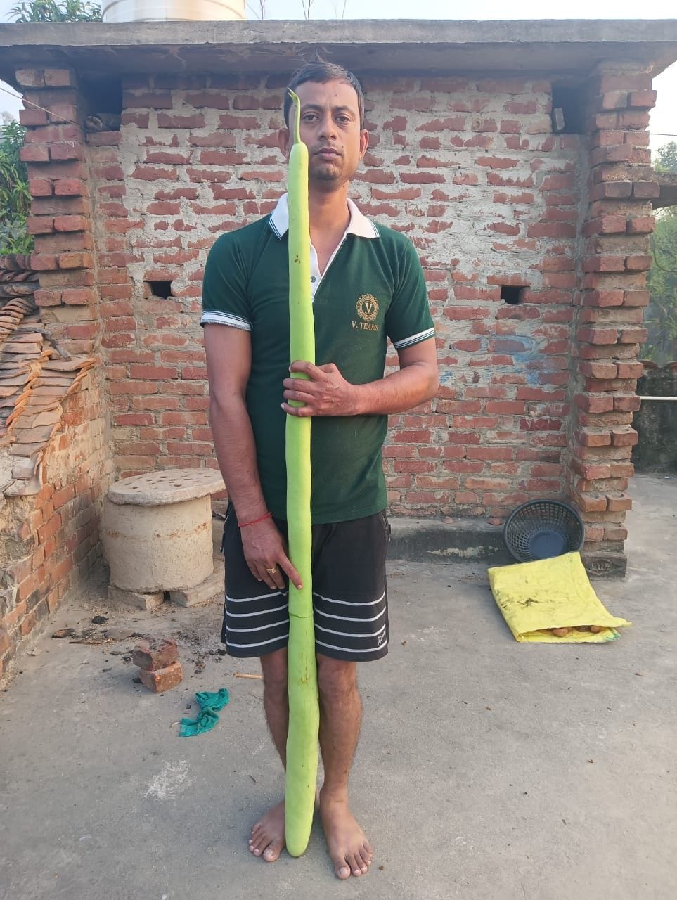gourd of 5.6 feet is centre of atraction