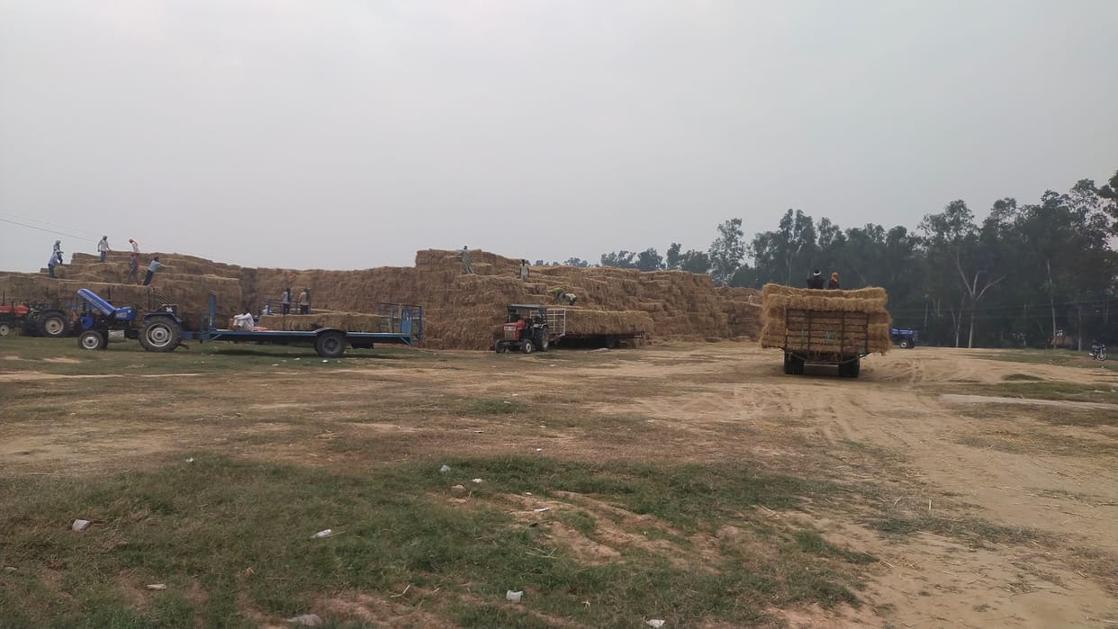 Out of 3.25 lakh acres of paddy area, only 93,000 acres of land has been built on stubble bales.