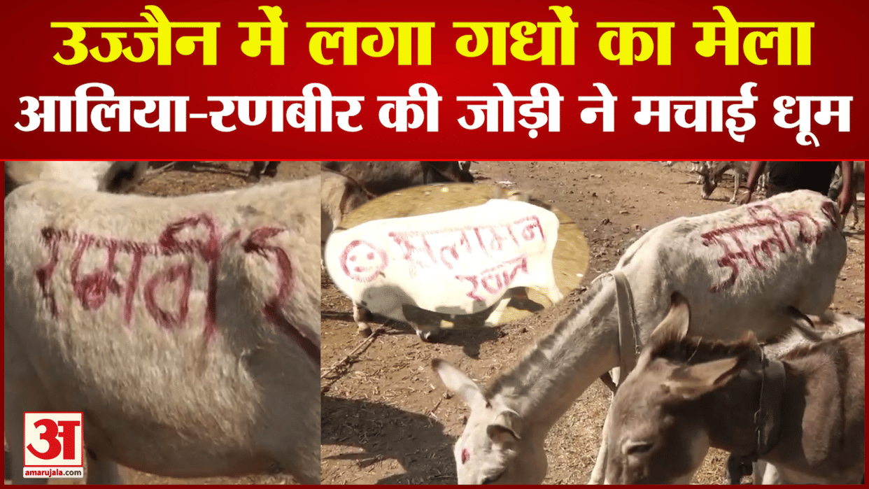 Donkey Fair in Mp Unique fair of donkeys held in Ujjain from Alia Ranbir to Salman know who sold expensive