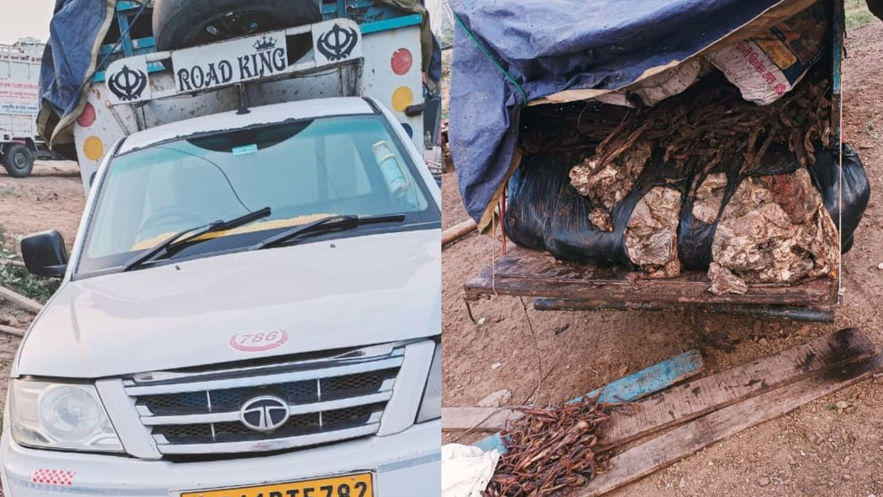 Two smugglers carrying banned meat arrested in Jind