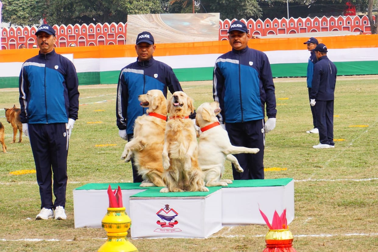 Border Security Force: How did the sniffer female dog pregnant in BSF camp