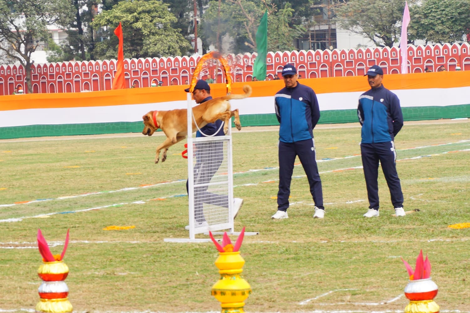Uttarakhand Foundation Day feat of indigenous breed dog in parade police read more Updates news in hindi