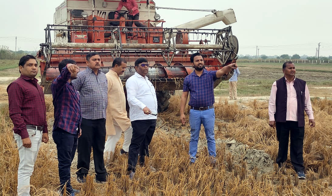 35 bighas of paddy crop seized