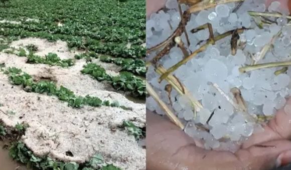 Rain-hail in Rajasthan shivering from cold November was hot for the first time in 12 years
