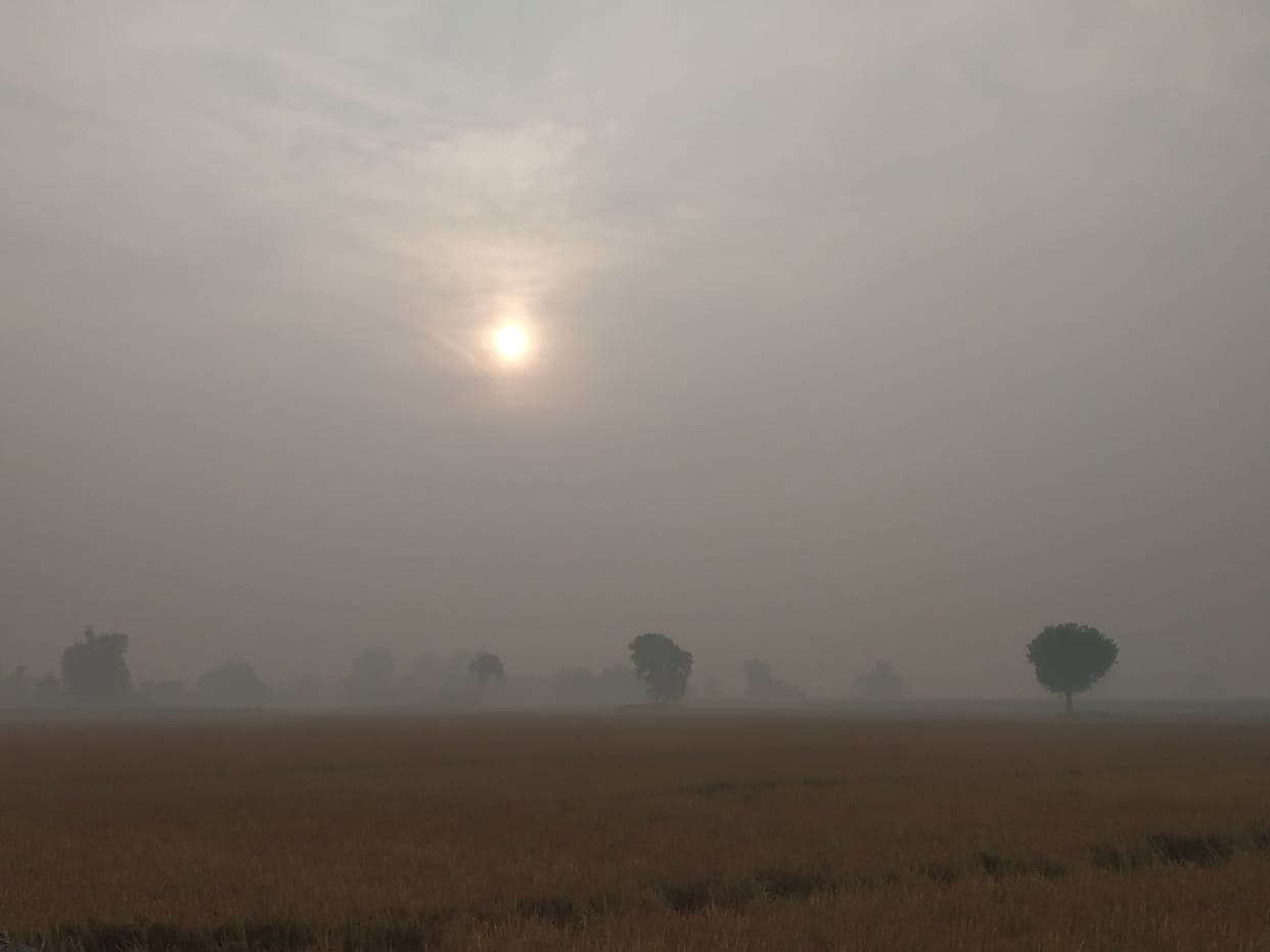 AQI  316, pollution increased by 193 points compared to Tuesday
