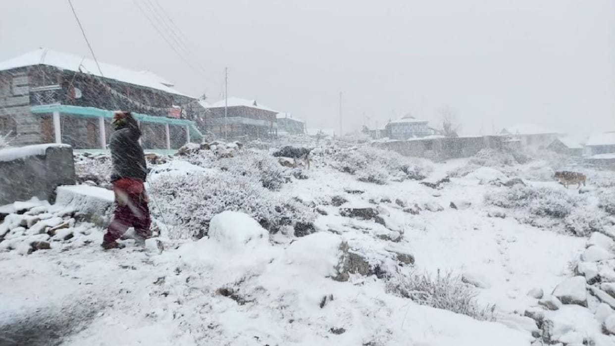 Himachal weather update, Snowfall in residential areas of Lahaul-Spiti and Kinnaur, see spectacular view in pi