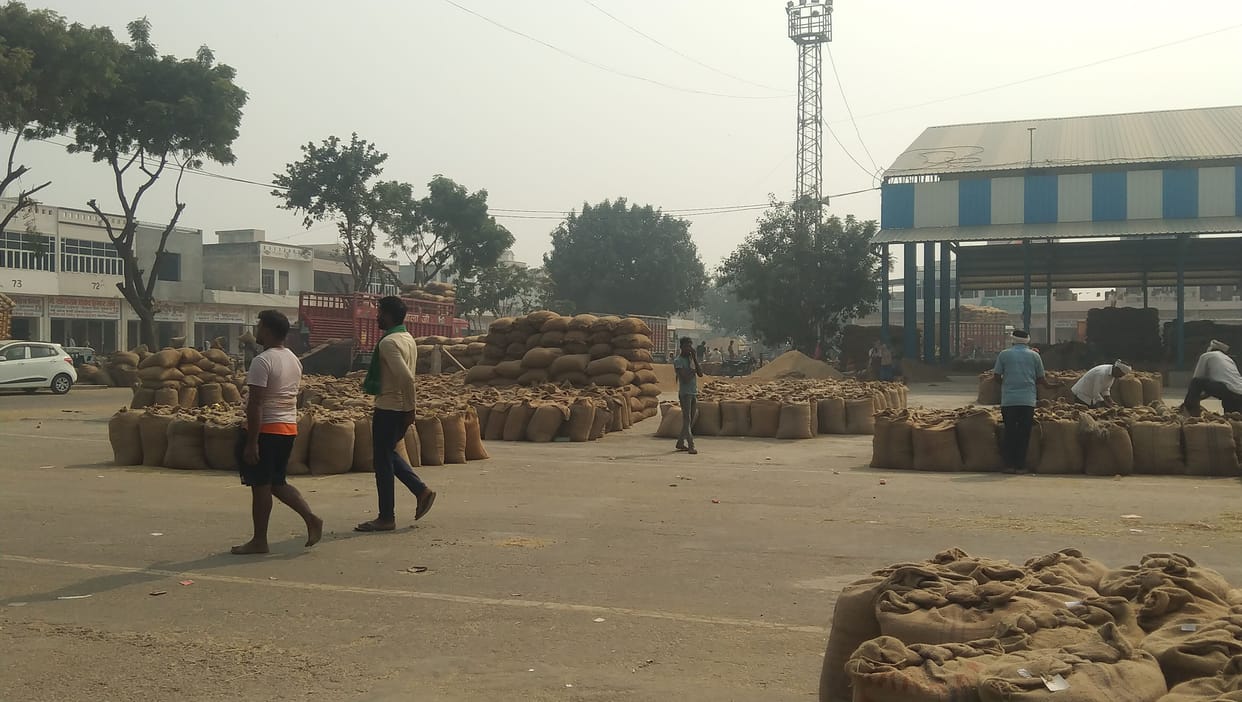 More than 80 thousand bags were lifted after stopping the purchase in the grain market