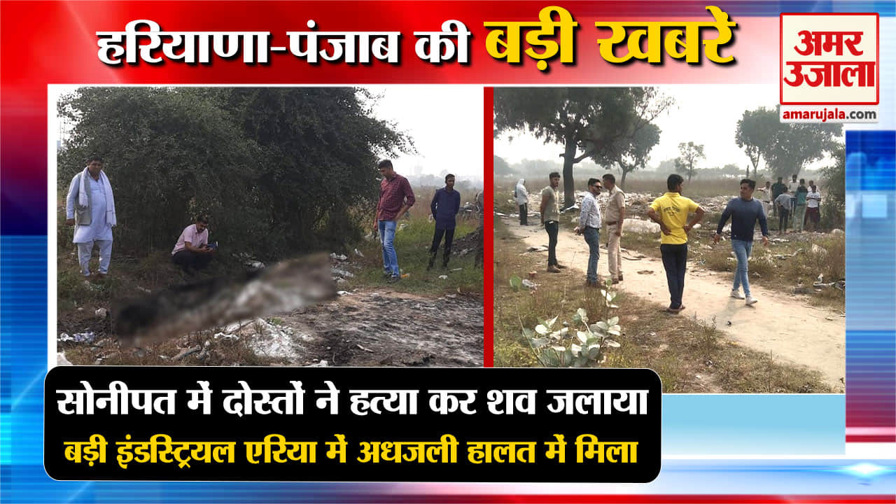 हरियाणा न्यूज