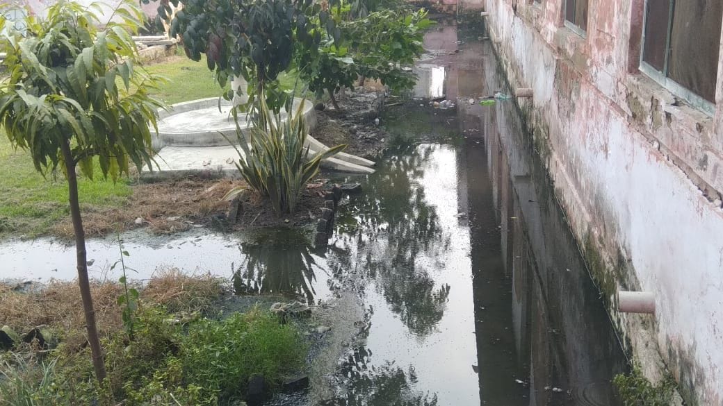 Promise of cleanliness in city Mosquitoes nest in government courtyard