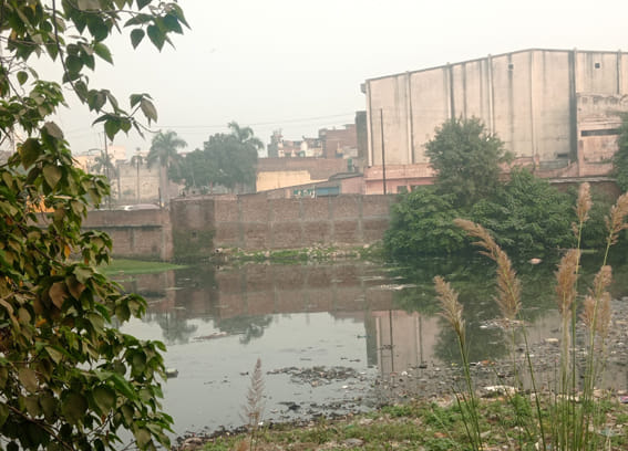 A bridge will be built on the Dhamola river between Rakesh and Sapna cinemas