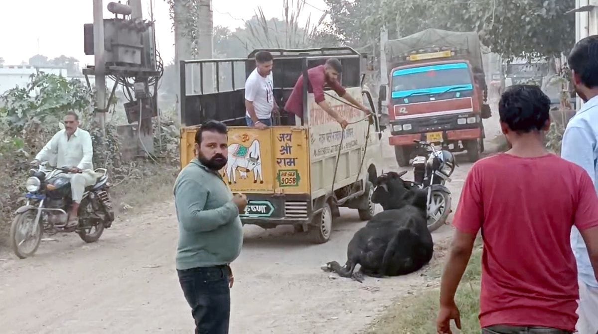 The bull created a ruckus, injured a dozen people