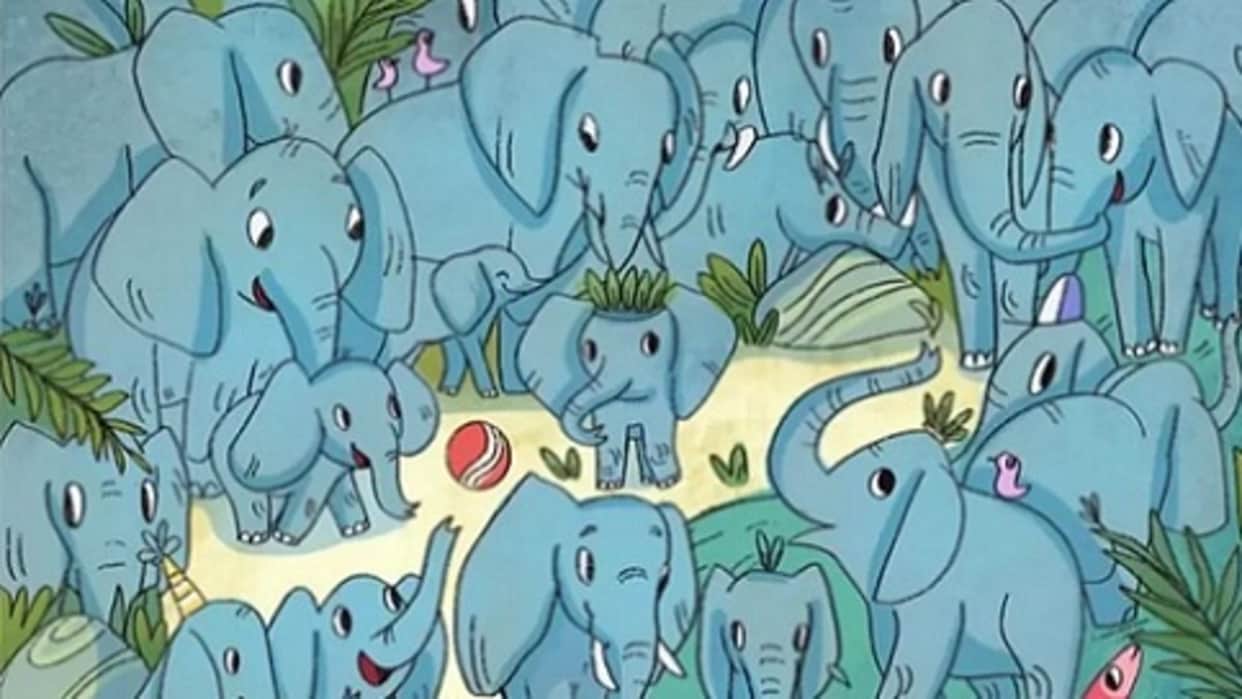 Viral Optical Illusion: Spot Hidden Rhino Animal from Illusion Image Check Your Brain IQ Level