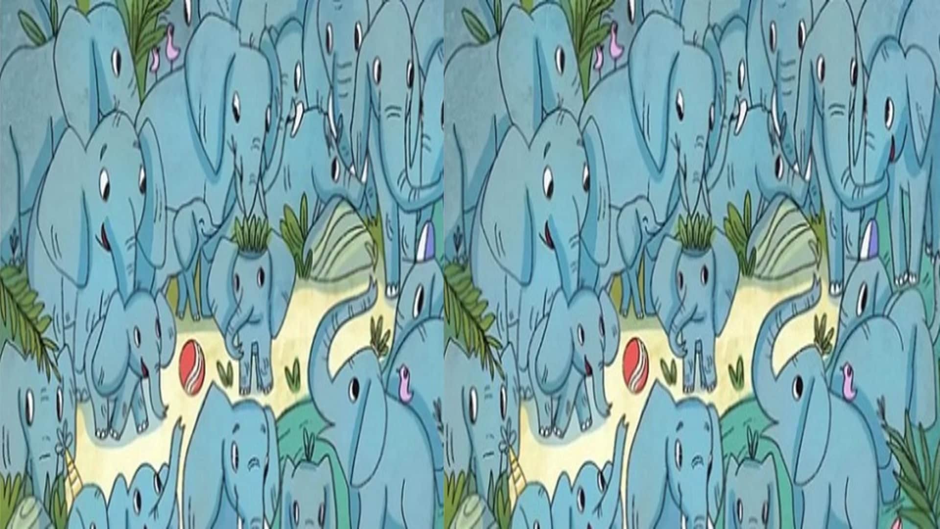 Viral Optical Illusion: Spot Hidden Rhino Animal from Illusion Image Check Your Brain IQ Level