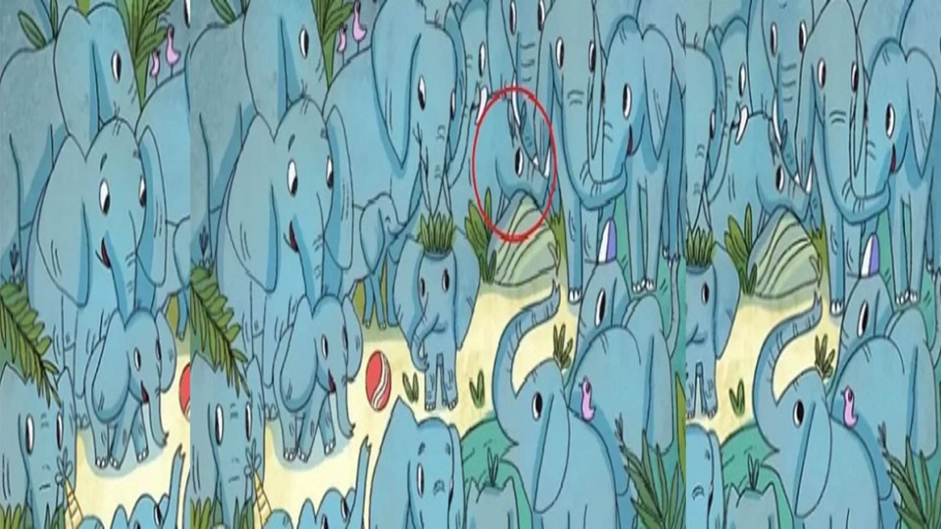 Viral Optical Illusion: Spot Hidden Rhino Animal from Illusion Image Check Your Brain IQ Level