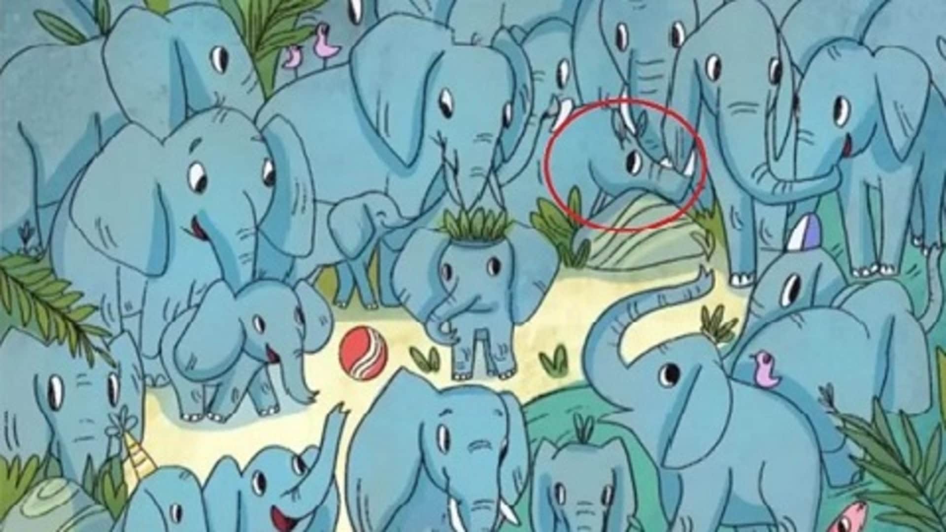 Viral Optical Illusion: Spot Hidden Rhino Animal from Illusion Image Check Your Brain IQ Level
