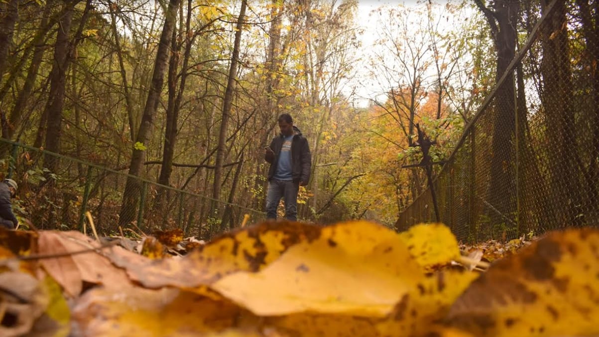 Autumn in Kashmir images began After snowfall on mountains, now red poplar leaves turned red