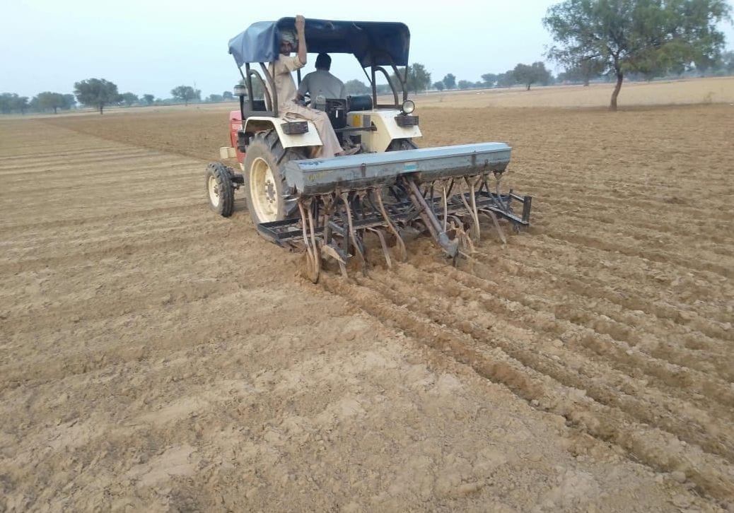 Wheat sowing will be done in 45 thousand hectares, work will be done till the first week of December