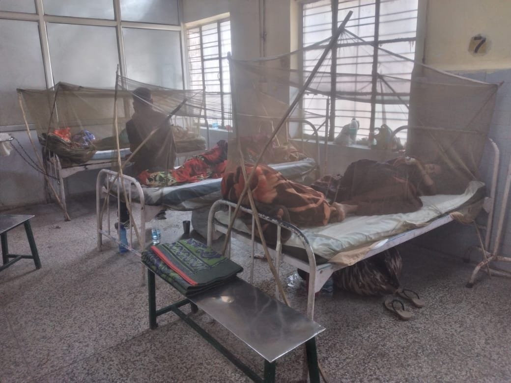 dengue