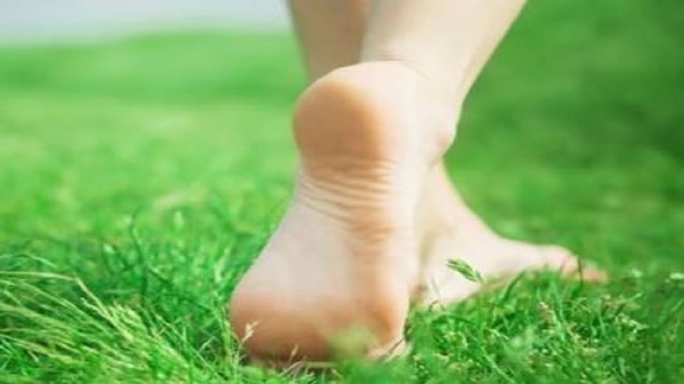 Leptospirosis disease has been confirmed in woman agra health news