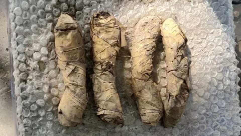 Four packets of heroin found in Firozpur of Punjab