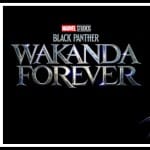 Black Panther Wakanda Forever