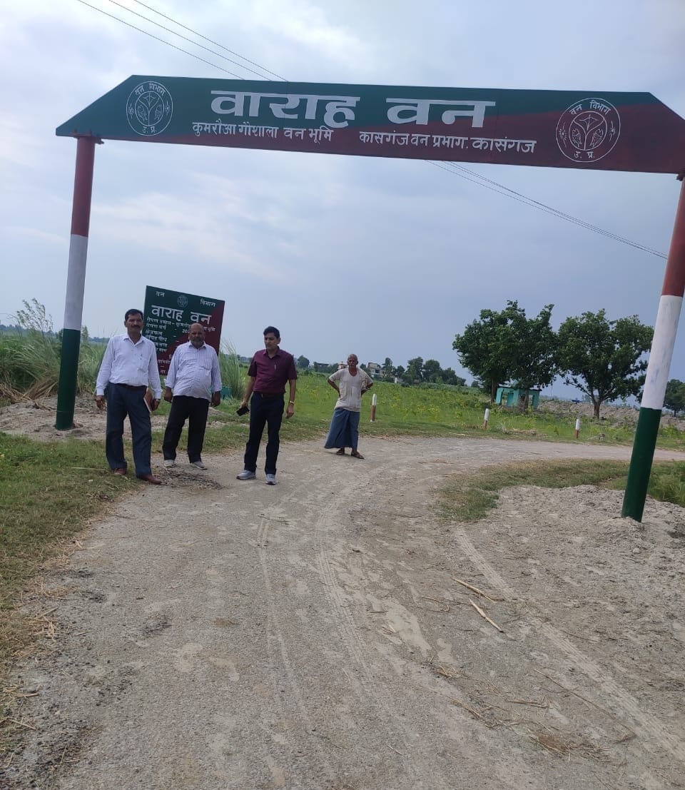 Land mafia plowed 3500 plants of Varah forest with tractor