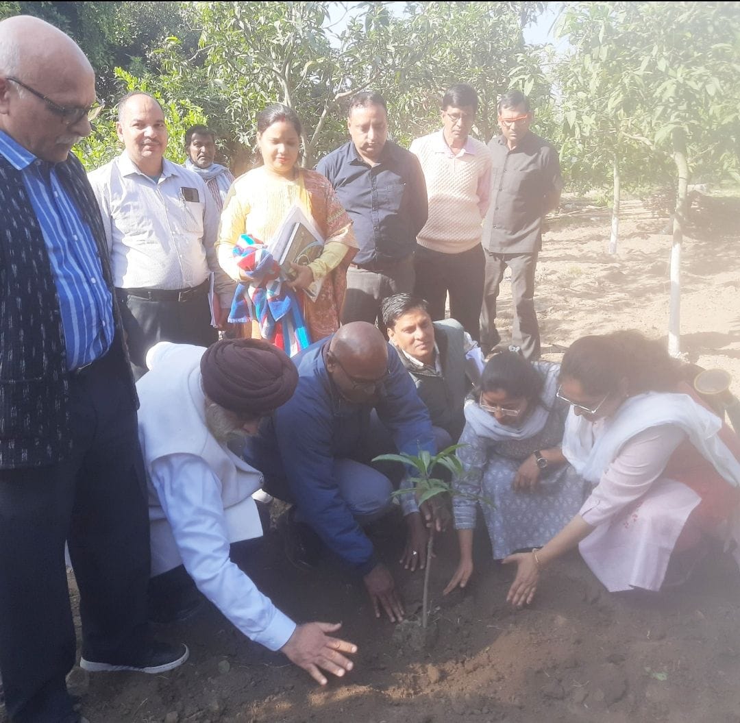 Government is working to promote dragun fruit crop.