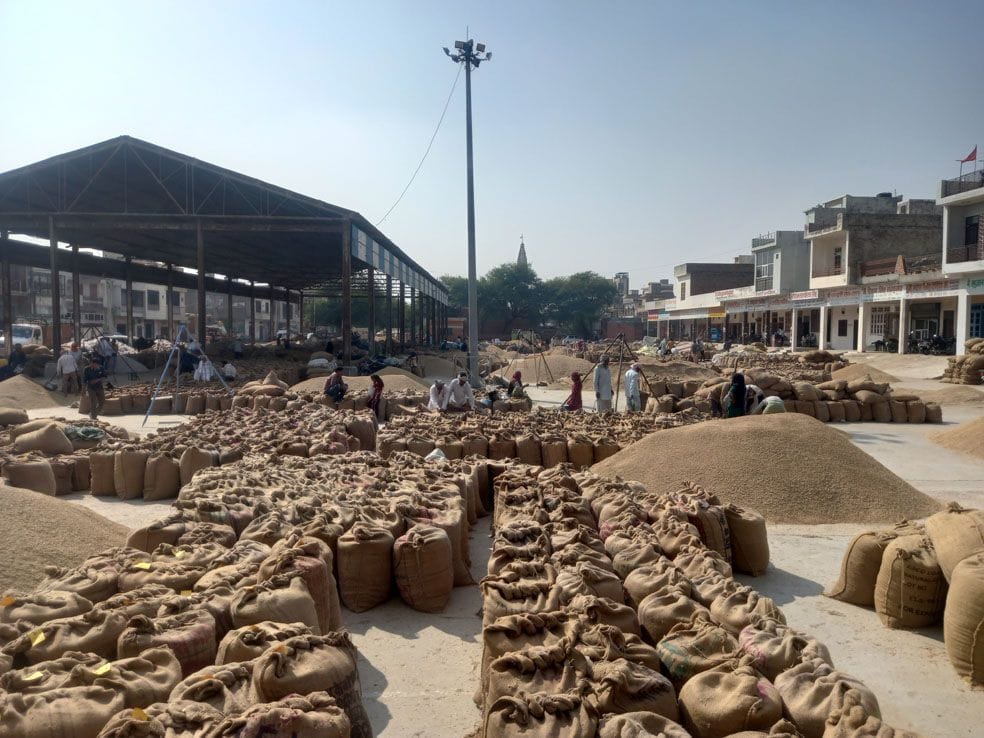 The arrival of paddy increased in the market, farmers and agents are happy due to the increase in the price