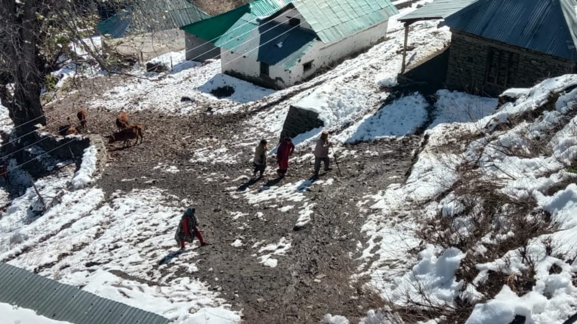 himachal election 2022 voters cast vote in minus temperature in Pangi chamba and lahaul spiti