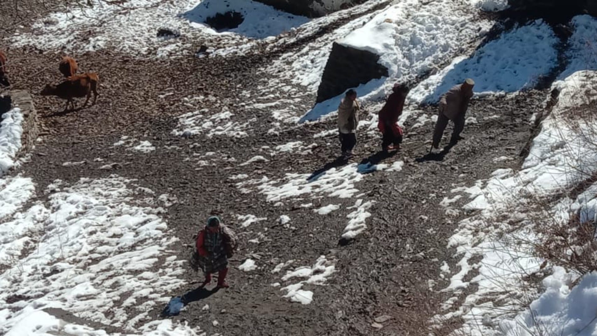 himachal election 2022 voters cast vote in minus temperature in Pangi chamba and lahaul spiti