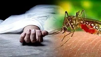 Woman dies of dengue