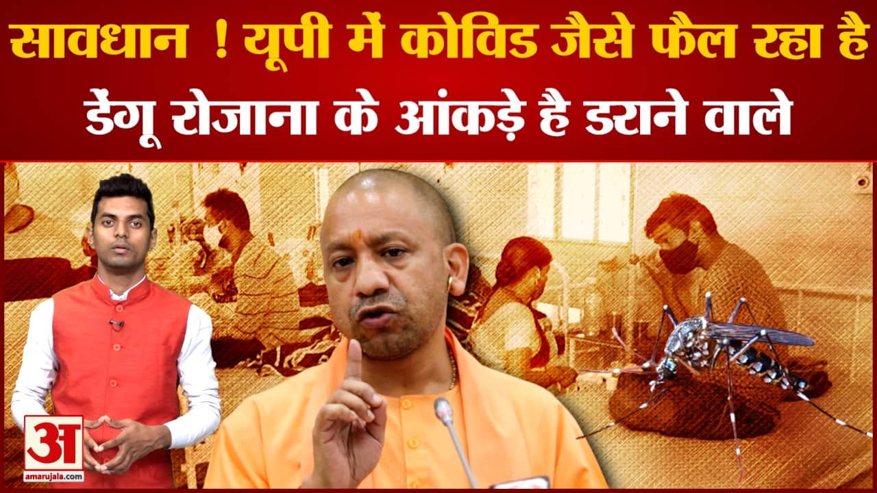 यूपी डेंगू न्यूज
