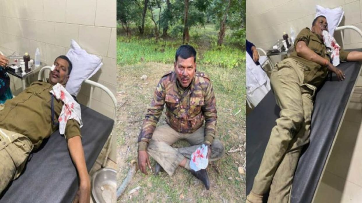 coal mafia attacked SECL officers and security personnel in chhattisgarh