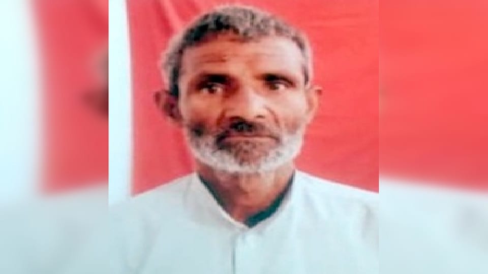 Farmer died due to bull attack in Sambhal s Asmoli