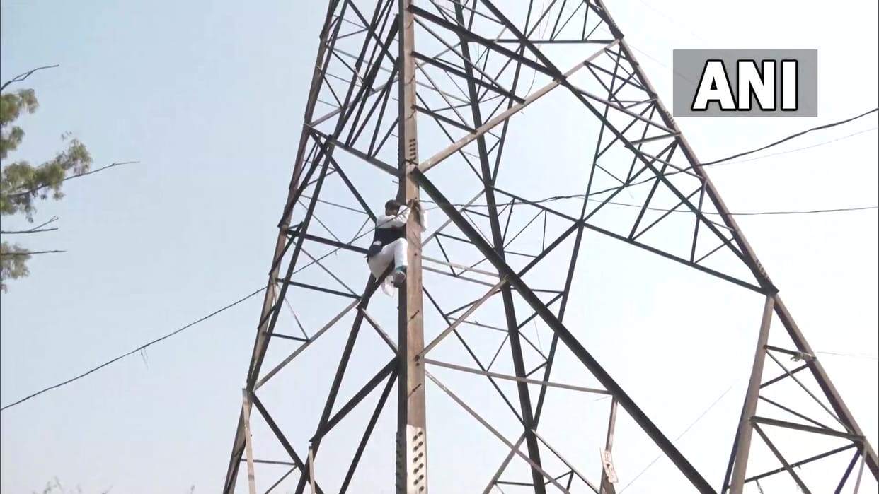 MCD Election: Former AAP councilor climbs on hightension line poleafter not getting ticket
