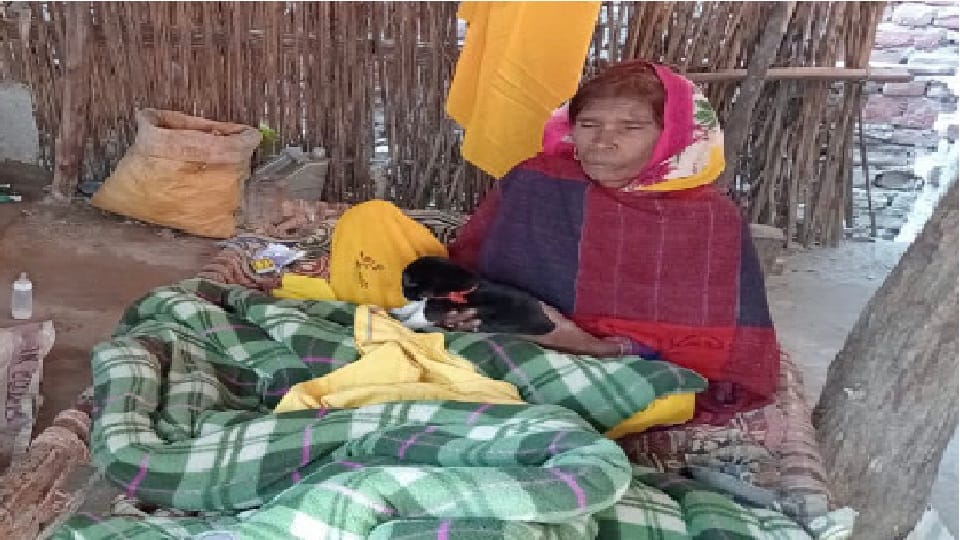 Elderly woman claims to have given birth to a puppy in Badaun s Sahaswan
