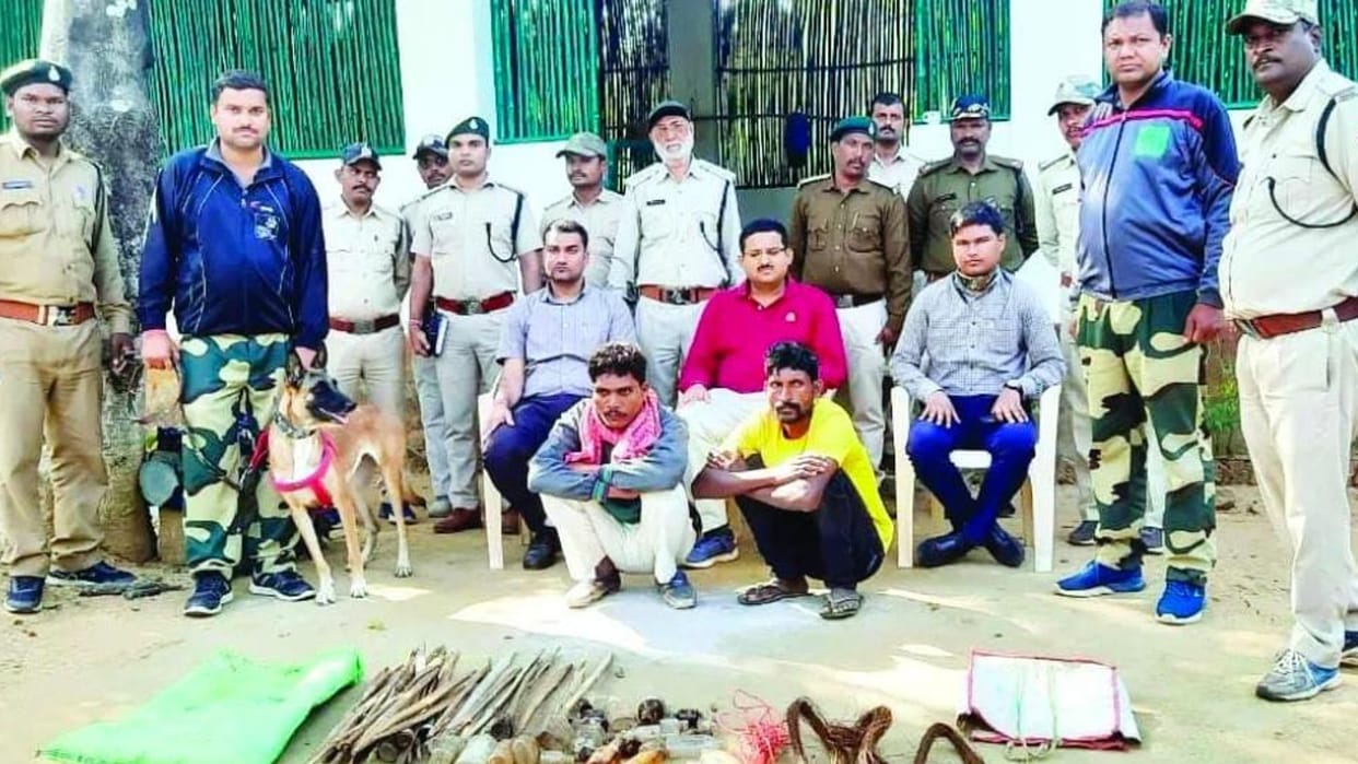 accused had electrocuted to hunt pig, leopard died after coming in the grip of wire in Umaria