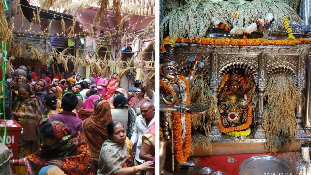 Mother's seventeen day Mahavrat starts from Sunday Mata Darbar is decorated with paddy earrings