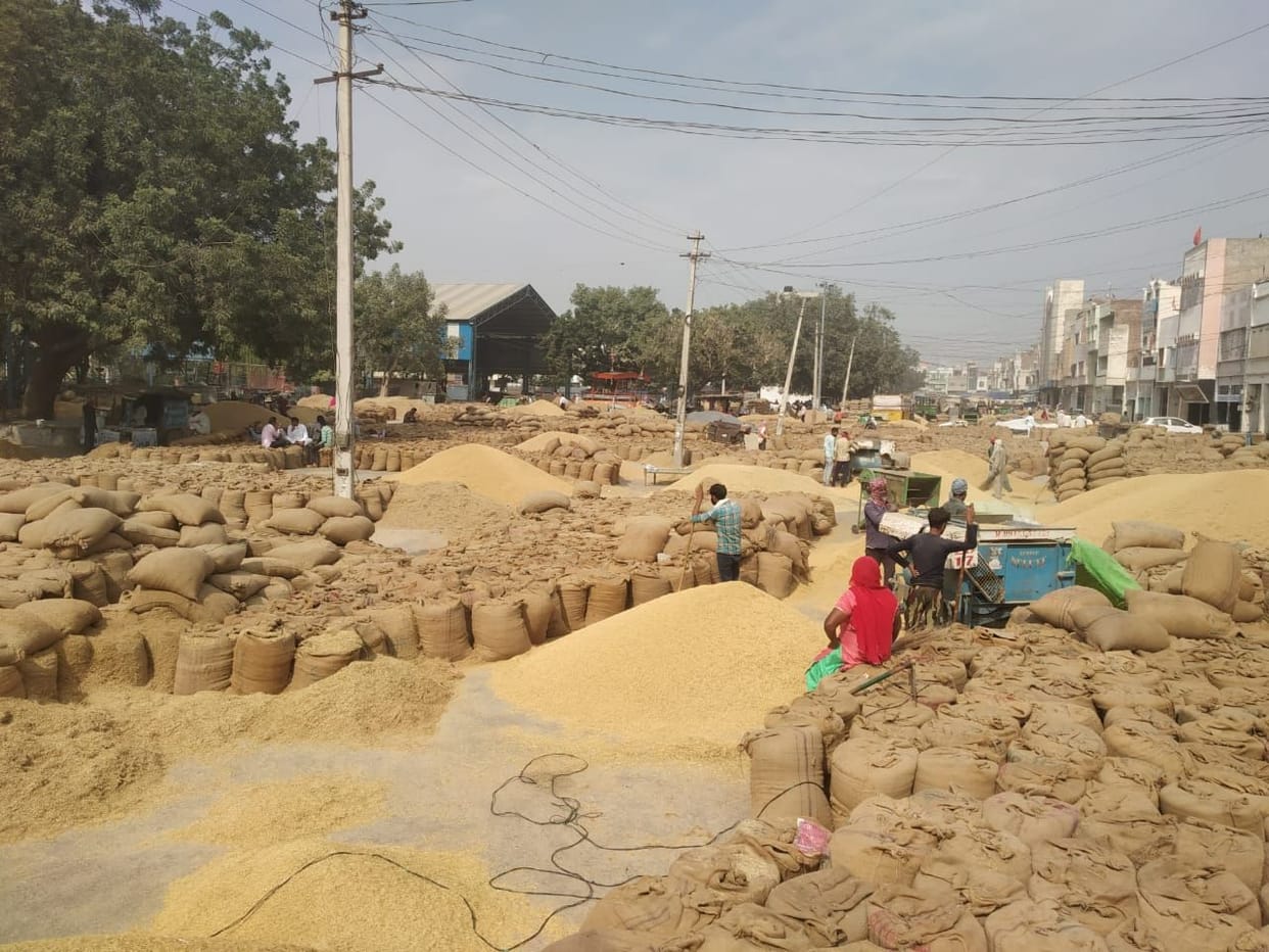 Mandi full of paddy, now challans will be deducted for parking an empty trolley