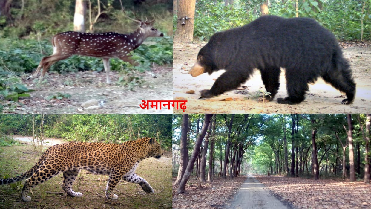 UP: Now tourists will start getting entry in Amangarh of Bijnor district and see photos