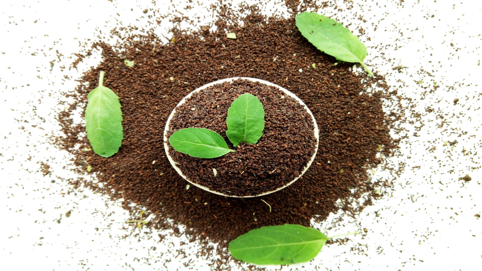 What are the benefits of eating basil leaves check here