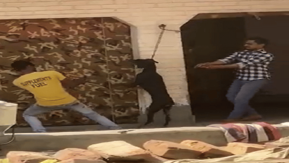 Ghaziabad Brutality with dog strangulation till it died video viral