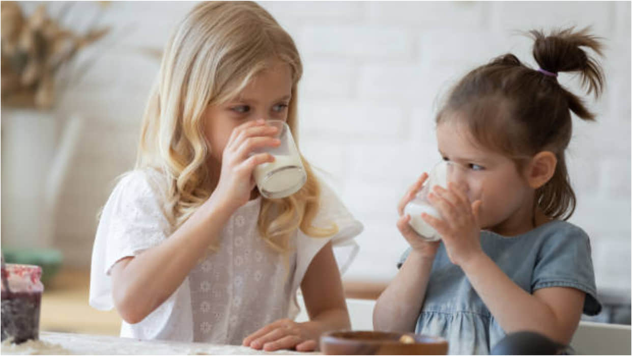 Today’s Kitchen: How to Prepare Flavour Milk for Kids Know Recipes in Hindi