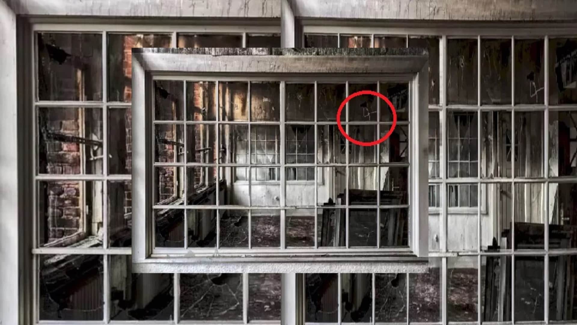viral optical illusion find out hidden the number from illusion image check your brain iq test