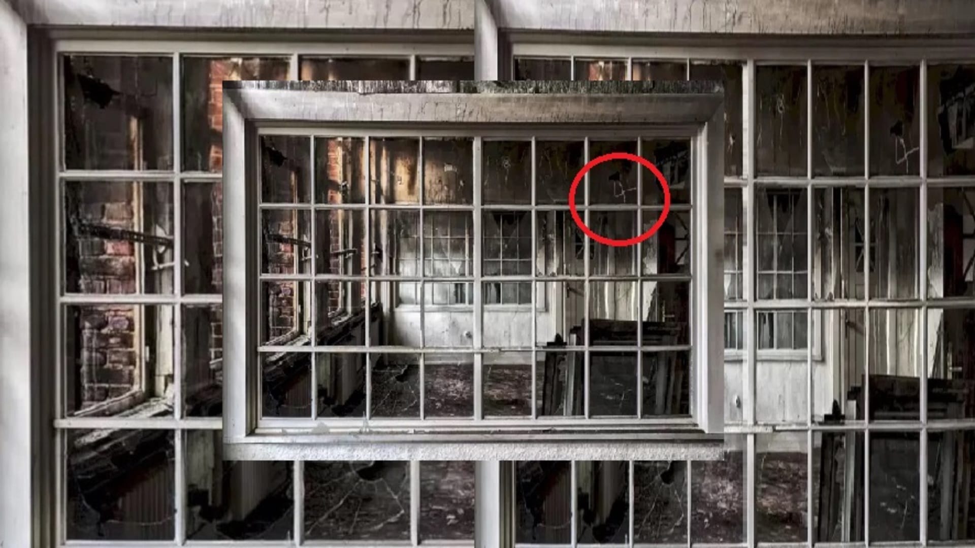 viral optical illusion find out hidden the number from illusion image check your brain iq test