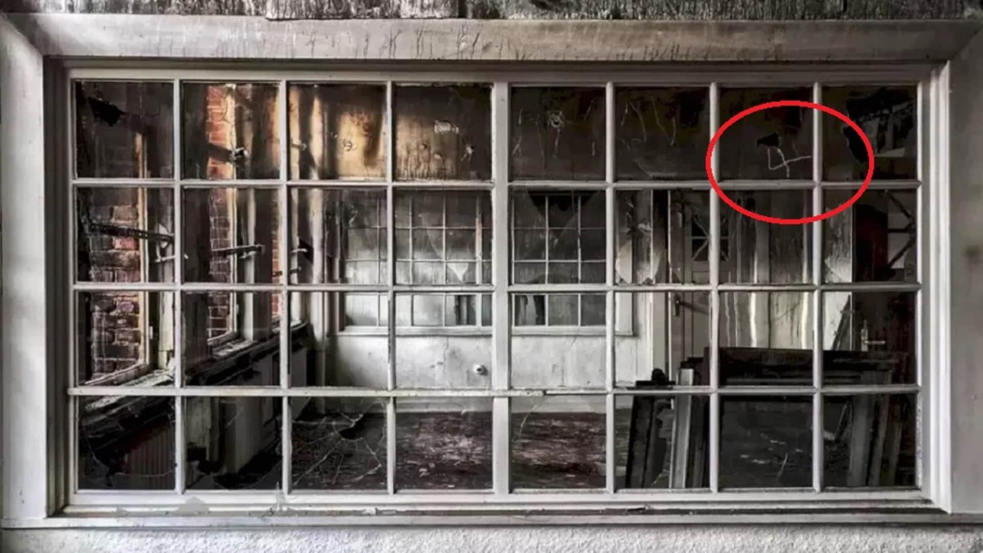 viral optical illusion find out hidden the number from illusion image check your brain iq test