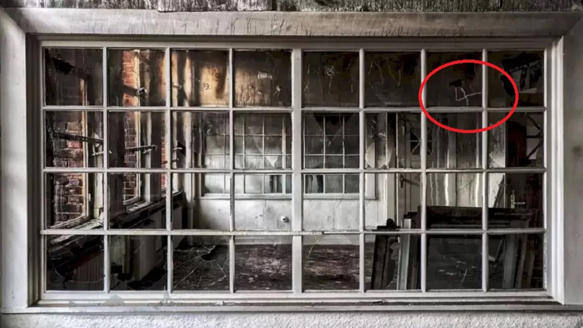 viral optical illusion find out hidden the number from illusion image check your brain iq test