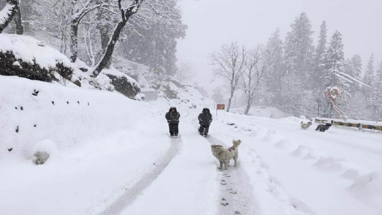 Himachal weather, First snowfall of the season in five tourist places of Himachal including Manali