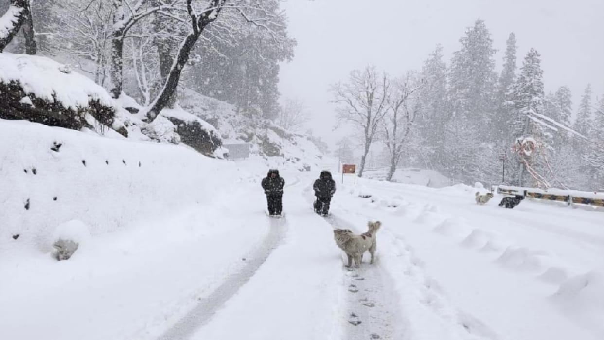 Himachal weather, First snowfall of the season in five tourist places of Himachal including Manali