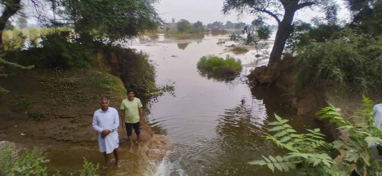 Waterlogging in 100 acres of wheat and mustard crop due to canal break